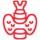 Custom icon